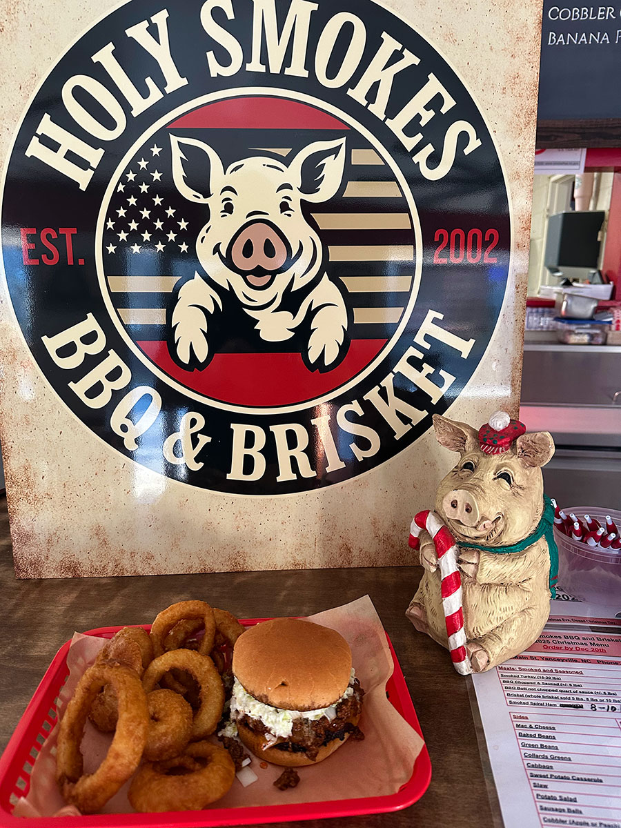 Carolina pulled pork barbecue sandwich with onion rings